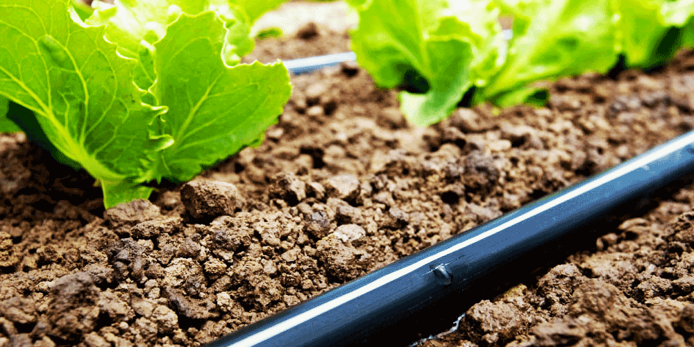 نحوه تزریق کود و اسید در سیستم آبیاری قطره ای و بابلر